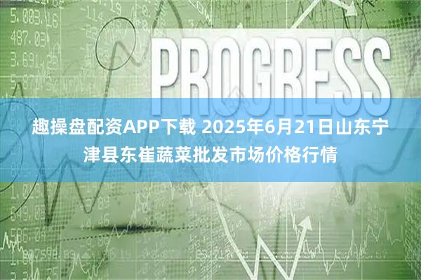 趣操盘配资APP下载 2025年6月21日山东宁津县东崔蔬菜批发市场价格行情