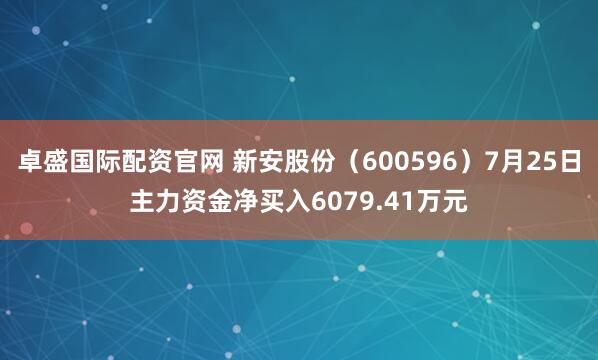 卓盛国际配资官网 新安股份（600596）7月25日主力资金净买入6079.41万元