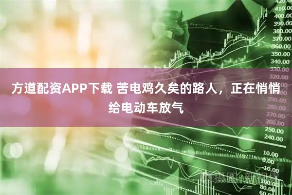 方道配资APP下载 苦电鸡久矣的路人，正在悄悄给电动车放气