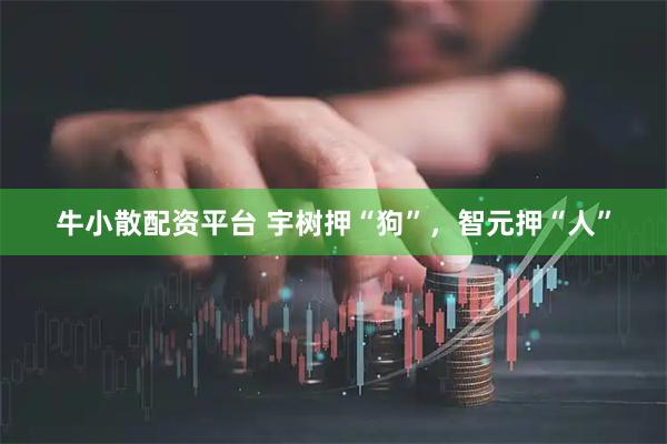 牛小散配资平台 宇树押“狗”，智元押“人”