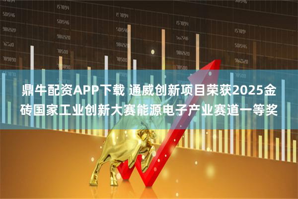 鼎牛配资APP下载 通威创新项目荣获2025金砖国家工业创新大赛能源电子产业赛道一等奖