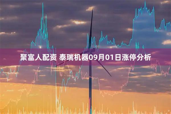 聚富人配资 泰瑞机器09月01日涨停分析