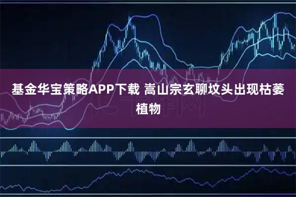 基金华宝策略APP下载 嵩山宗玄聊坟头出现枯萎植物