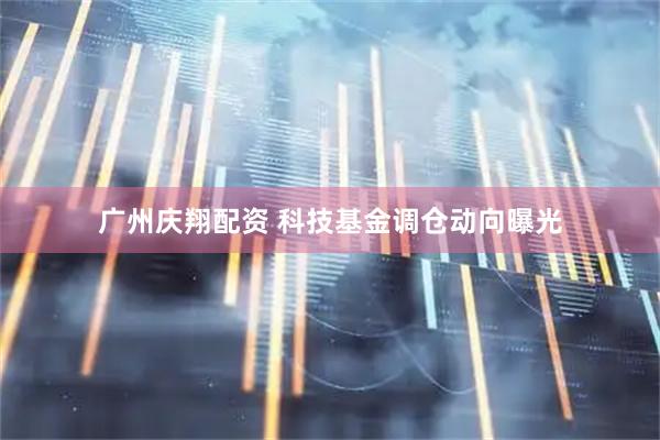 广州庆翔配资 科技基金调仓动向曝光